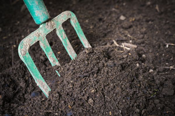 Topsoil Spreading in Goshen