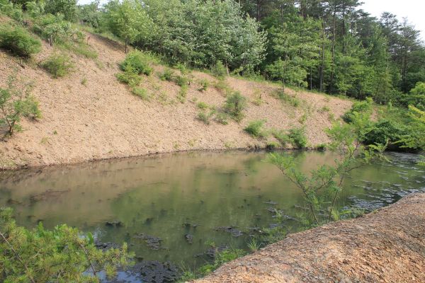 Pond Erosion Repair in Goshen