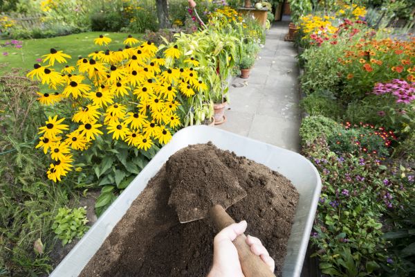 Topsoil Installation in Goshen