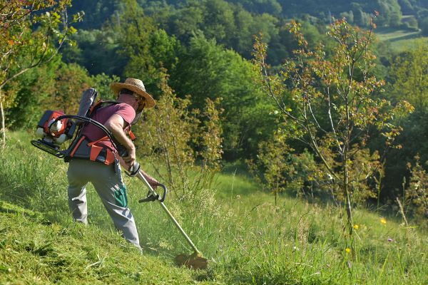 Cost of Slope Trimming in Goshen